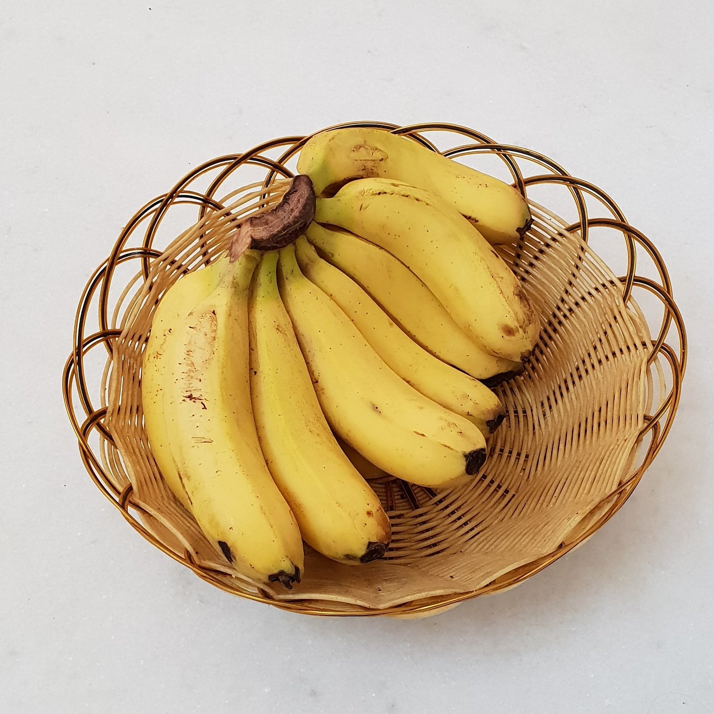 Dwarf Cavendish Banana Starter Plants (Set of 4), Bananas, Banana Trees