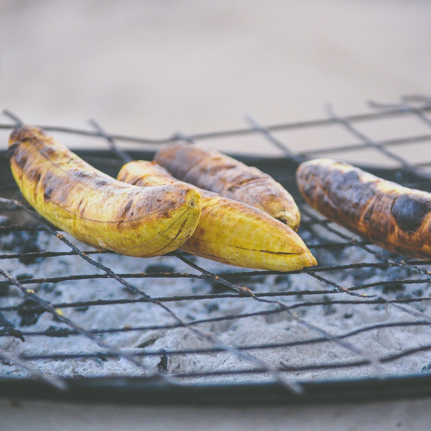 Plantain Tree, Cooking Banana, Sweet Banana, Southeast Asian Banana